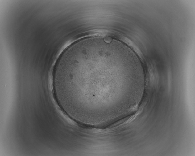 X0000112951083200908241338