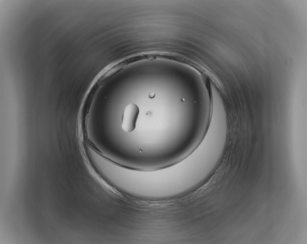 X0000112951084200908241338