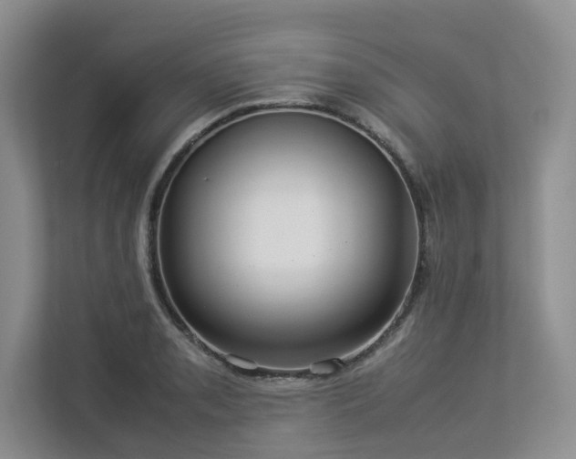 X0000112951085200908241338