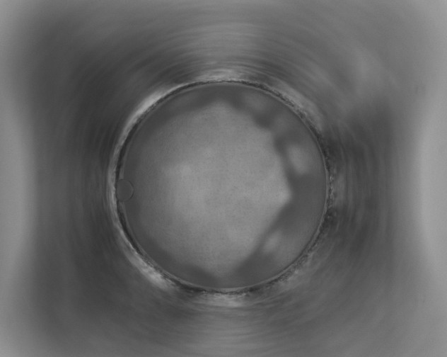 X0000112951086200908241338