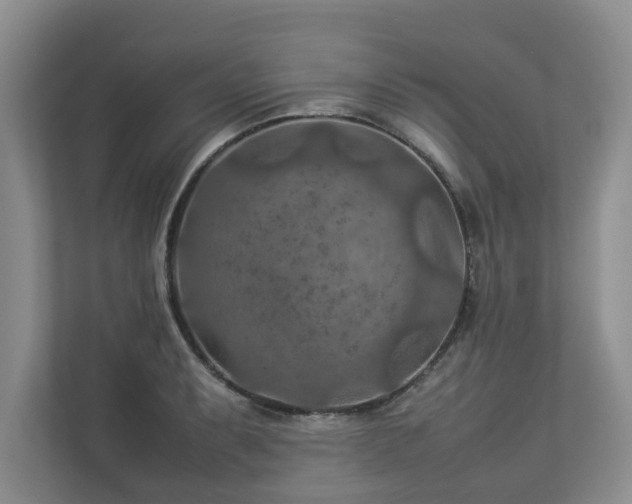 X0000112951087200908241338