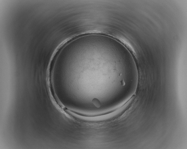 X0000112951088200908241338