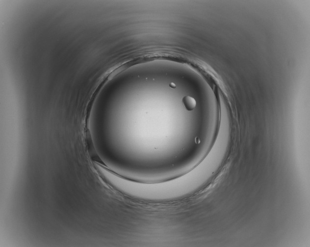 X0000112951089200908241338