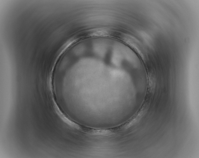 X0000112951090200908241338