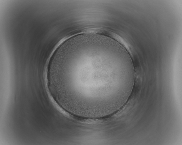 X0000112951091200908241338