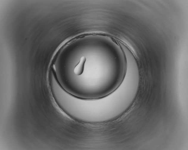 X0000112951092200908241338