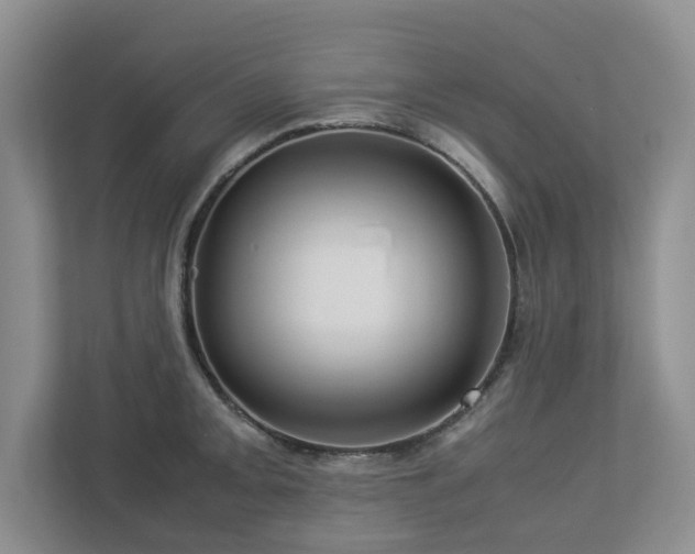 X0000112951093200908241338