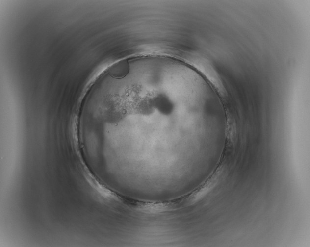 X0000112951094200908241338