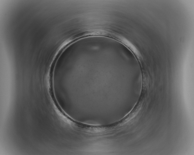 X0000112951095200908241338