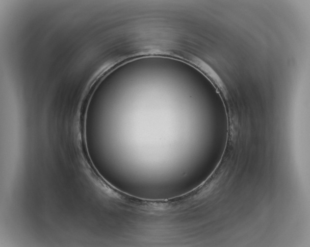 X0000112951096200908241338