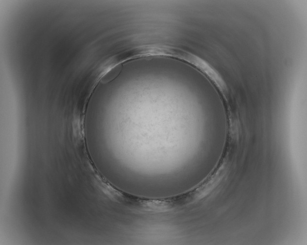 X0000112951097200908241338