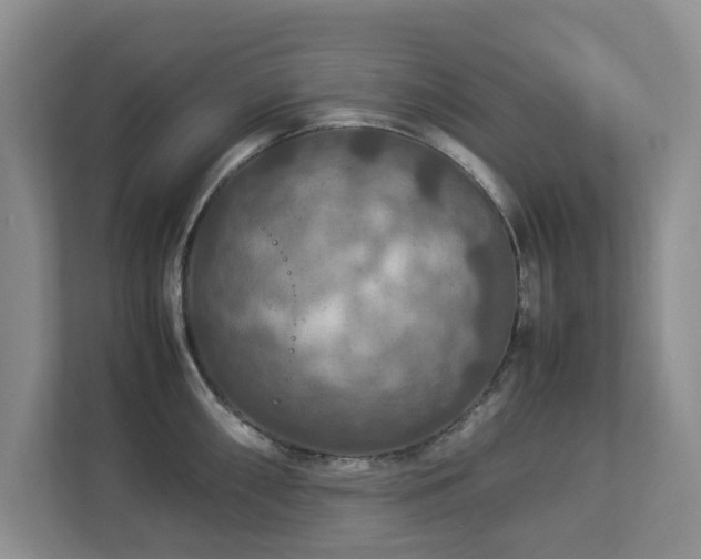 X0000112951098200908241338