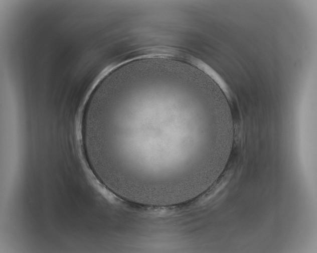 X0000112951099200908241338