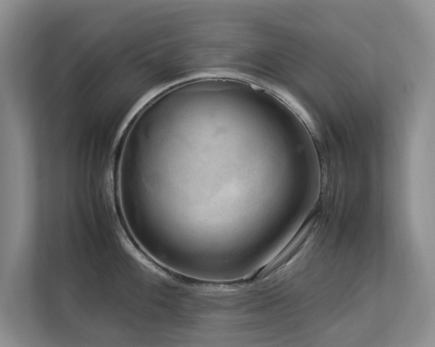 X0000112951100200908241338