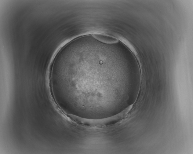 X0000112951104200908241337