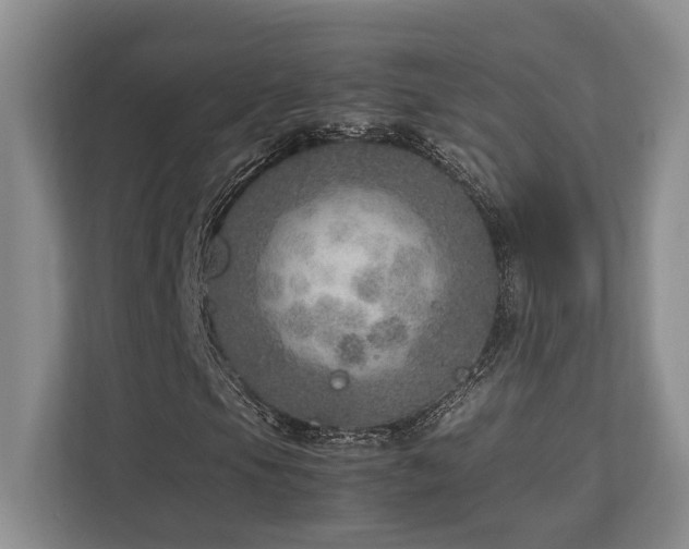 X0000112951105200908241337