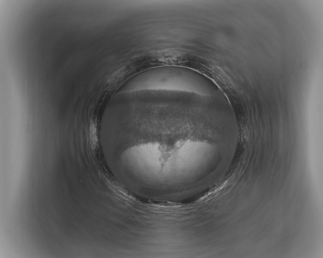 X0000112951106200908241337