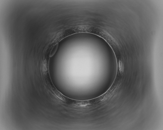 X0000112951107200908241337