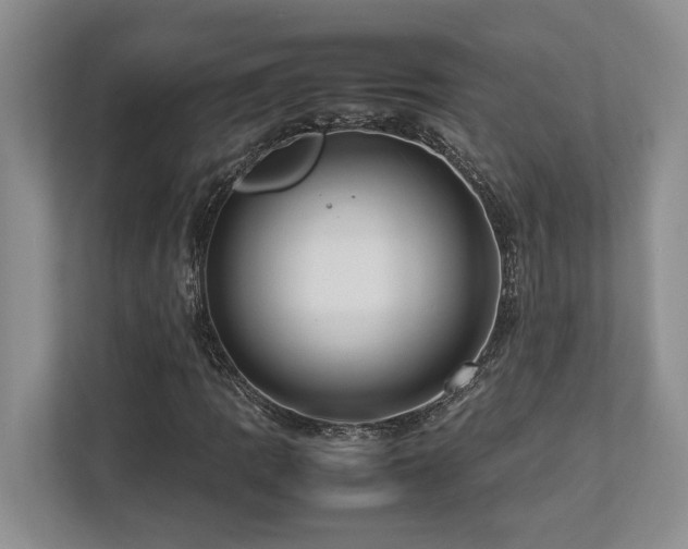 X0000112951109200908241337