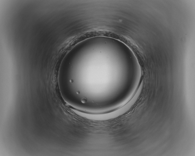 X0000112951110200908241337