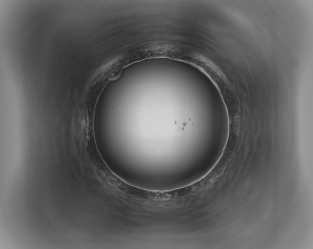 X0000112951111200908241337