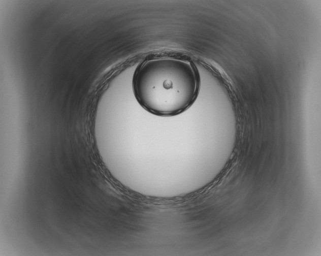 X0000112951112200908241337