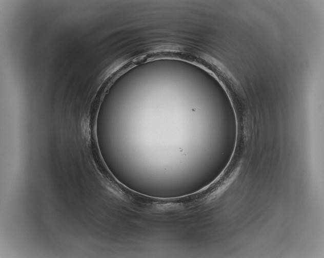 X0000112951113200908241337