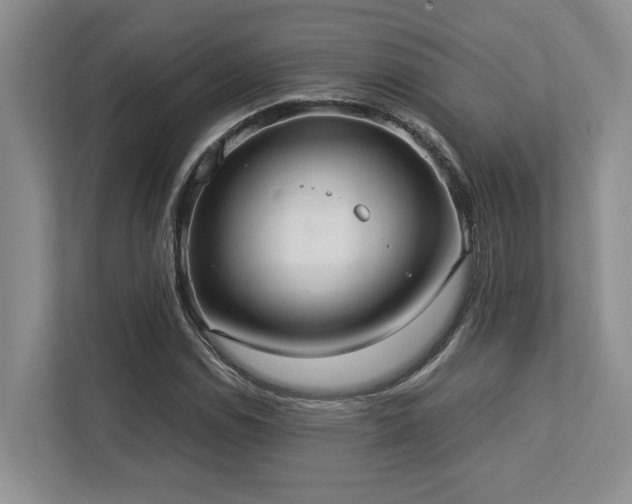 X0000112951114200908241337
