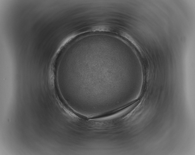 X0000112951115200908241337