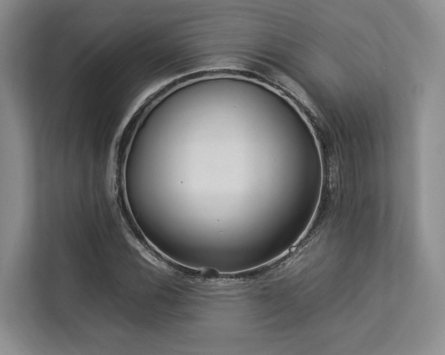 X0000112951116200908241337