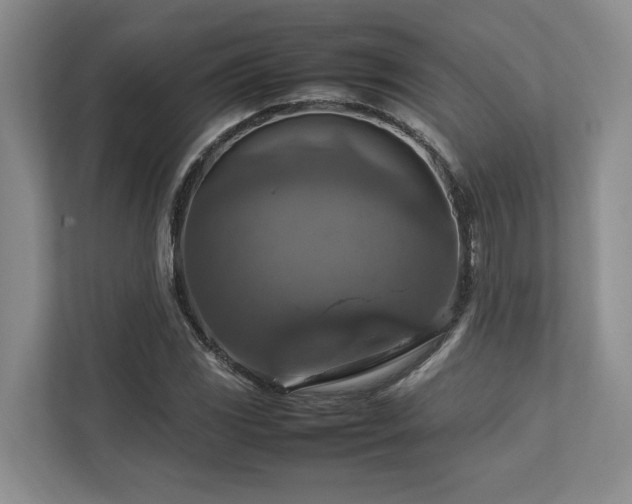 X0000112951117200908241337