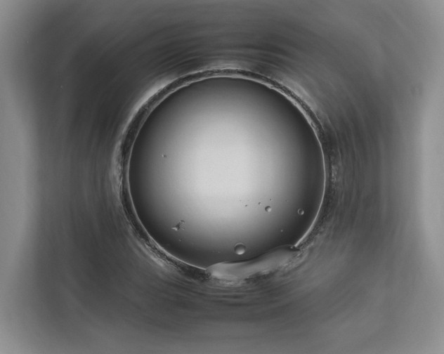 X0000112951119200908241337