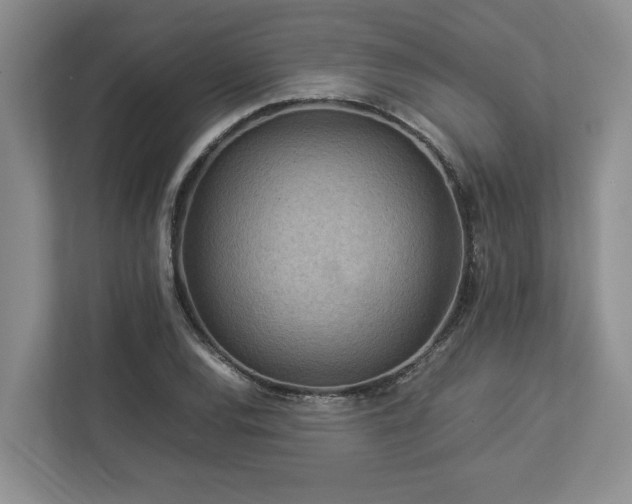 X0000112951120200908241337
