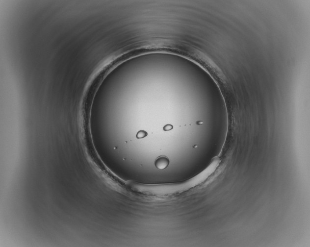 X0000112951122200908241337