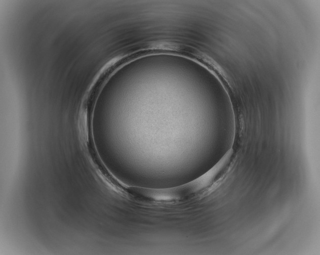X0000112951123200908241337