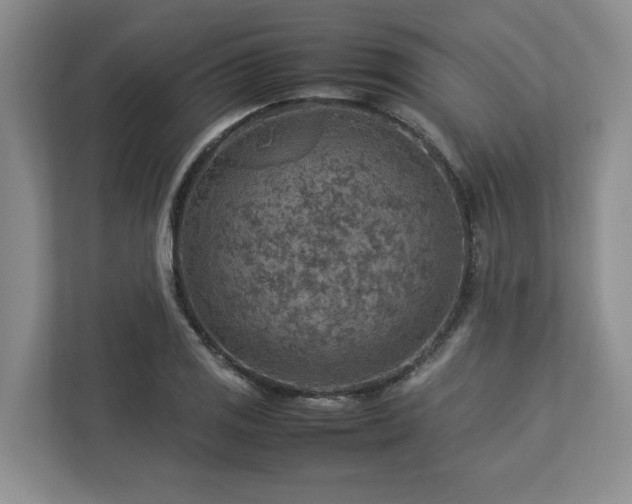 X0000112951125200908241337