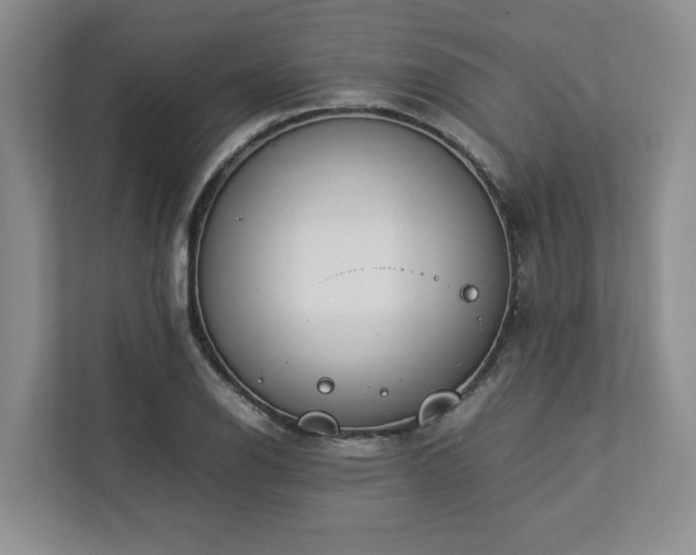 X0000112951126200908241337