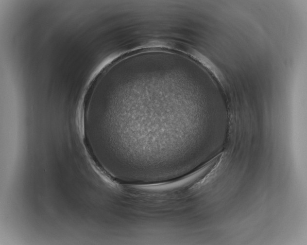 X0000112951127200908241337
