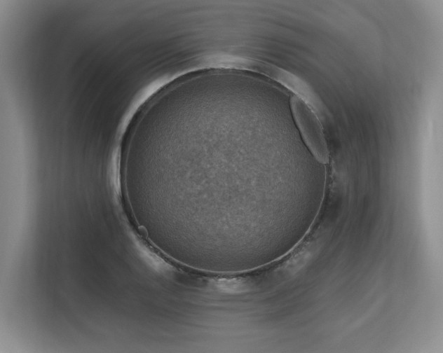X0000112951128200908241337