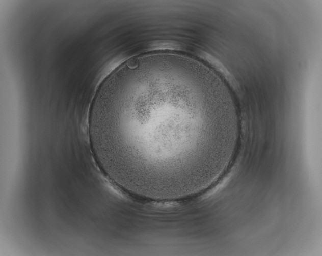 X0000112951129200908241337