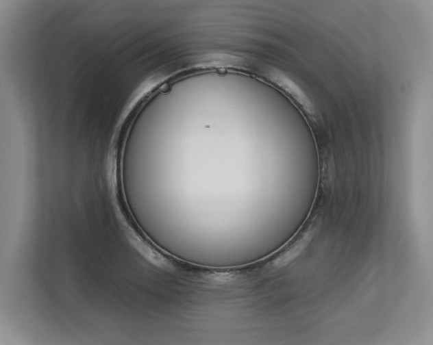 X0000112951130200908241337