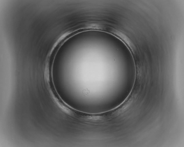 X0000112951131200908241337