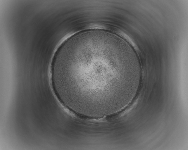 X0000112951133200908241337