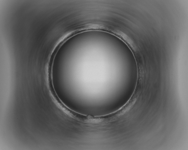 X0000112951134200908241337