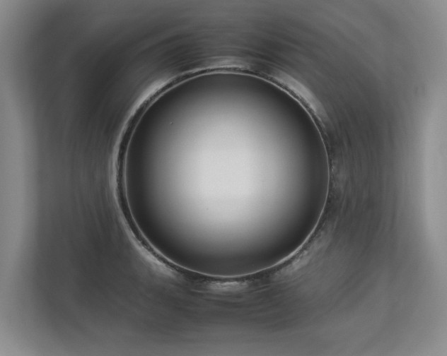 X0000112951135200908241337
