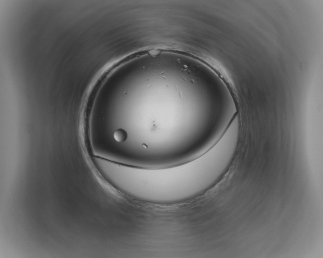 X0000112951136200908241337