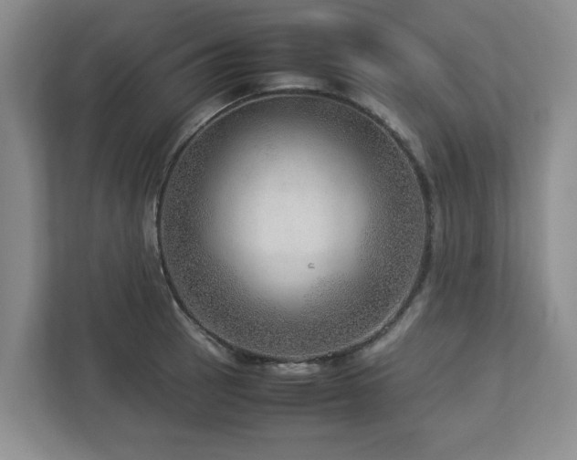 X0000112951137200908241337