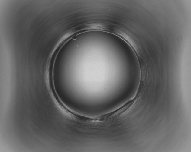 X0000112951139200908241337
