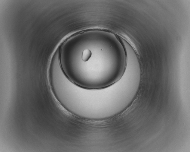 X0000112951140200908241337