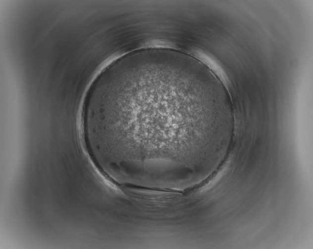 X0000112951141200908241337